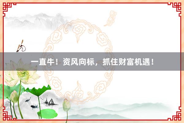 一直牛！资风向标，抓住财富机遇！