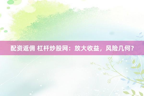 配资返佣 杠杆炒股网：放大收益，风险几何？