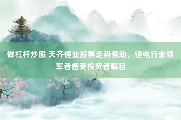做杠杆炒股 天齐锂业股票走势强劲，锂电行业领军者备受投资者瞩目