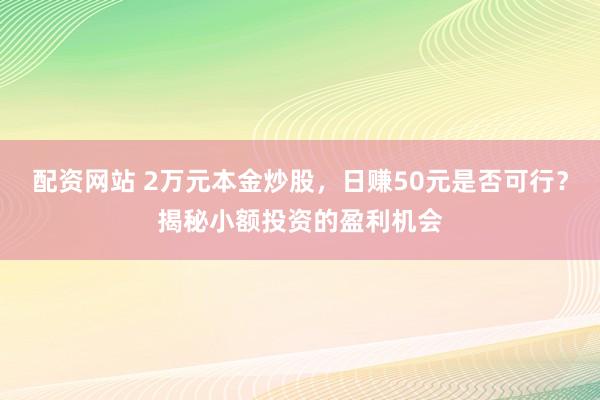 配资网站 2万元本金炒股，日赚50元是否可行？揭秘小额投资的盈利机会