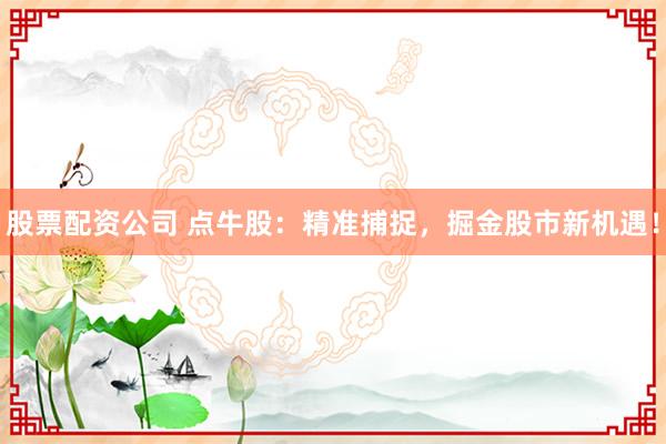 股票配资公司 点牛股：精准捕捉，掘金股市新机遇！