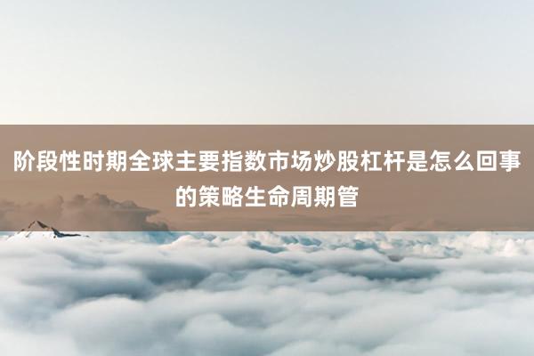 阶段性时期全球主要指数市场炒股杠杆是怎么回事的策略生命周期管