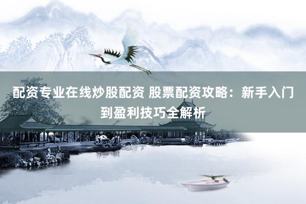 配资专业在线炒股配资 股票配资攻略：新手入门到盈利技巧全解析