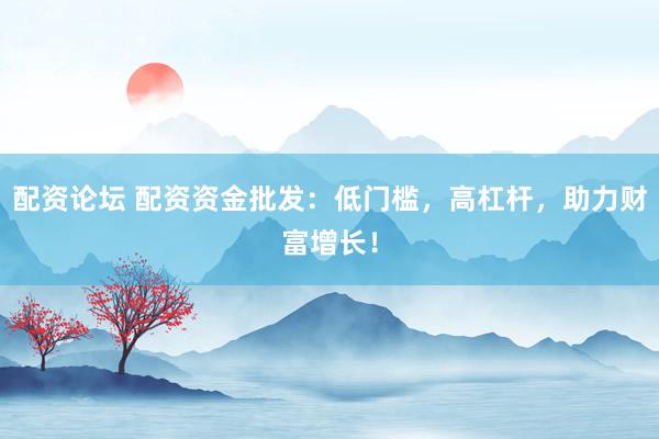 配资论坛 配资资金批发：低门槛，高杠杆，助力财富增长！