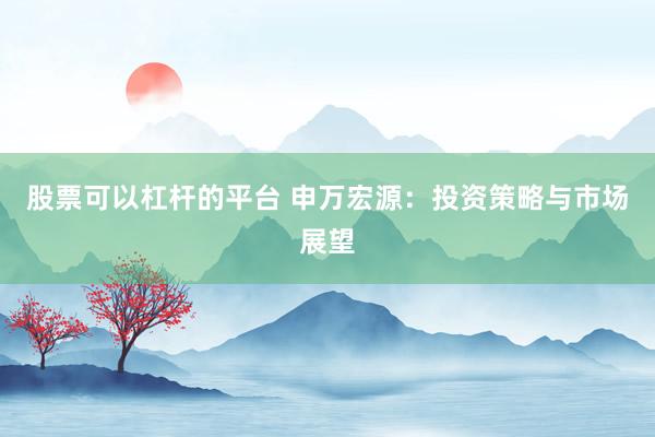 股票可以杠杆的平台 申万宏源：投资策略与市场展望